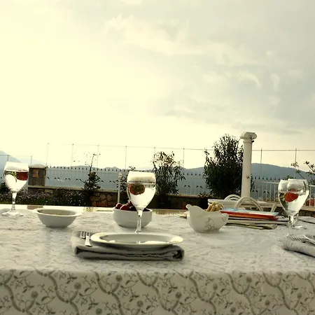 Tala 16 Fethiye